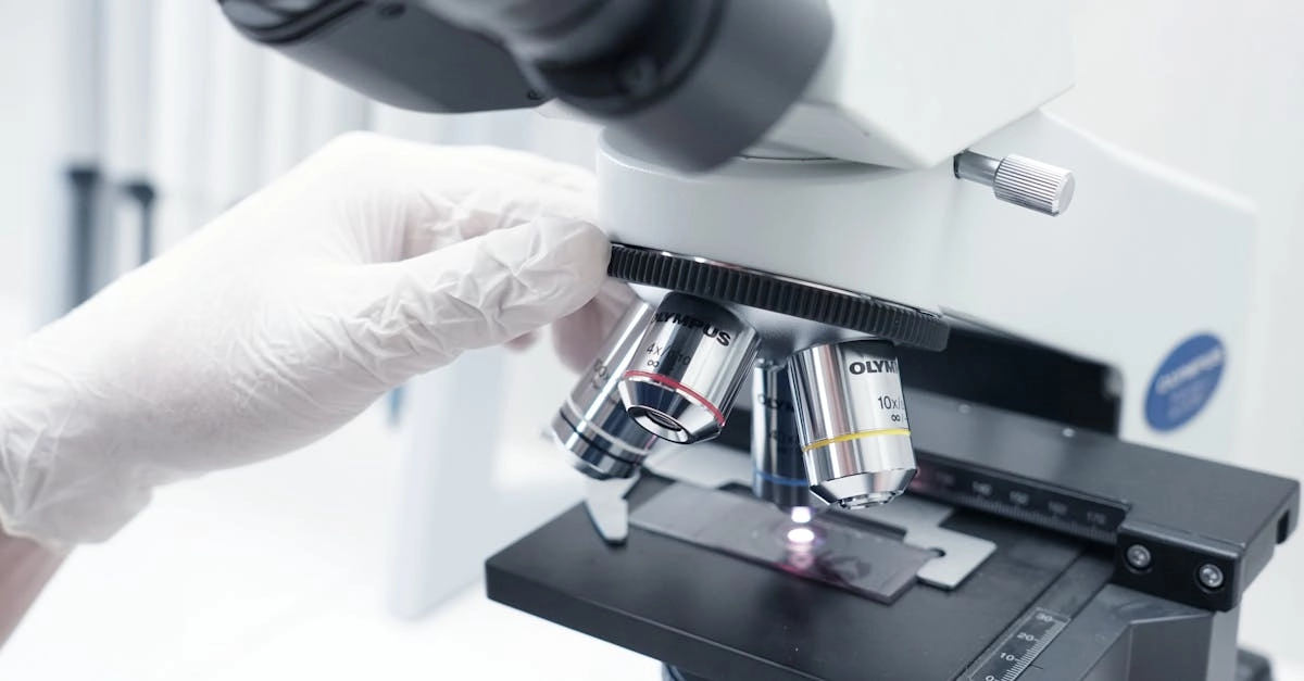 Образовательный анализ игровой механики Gates of Olympus 1000